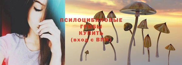 спайс Белокуриха