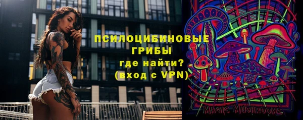 спайс Белокуриха